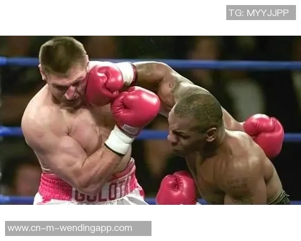 泰森与麦克尼雷的巅峰对决谁将成为拳坛传奇的继承者